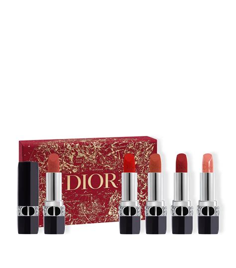 rouge dior lipstick set